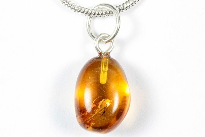 Polished Baltic Amber Pendant (Necklace) - Spider & Fly! #357993